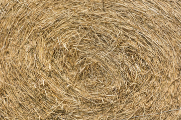 hay background
