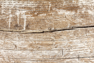 Fototapeta premium brown wooden texture.