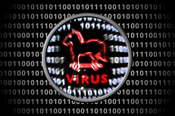 Anti virus software found virus thread when scanning binary code for malware. © vchalup
