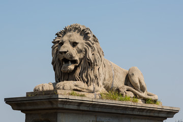 Chain Bridge - Szechenyi lanchid - Budapest