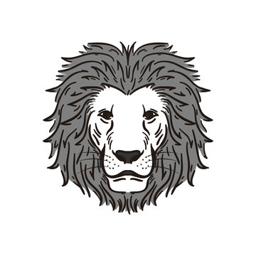 Commanding Calm Lion in Black and White