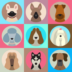 Vector set of different dog breeds app icons in flat style