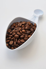Fresh roasted coffee grains in white scoop isolated on white