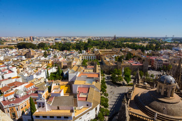 Cathedral of Santa Maria de Sevilla view from the Giralda in Seville Spain