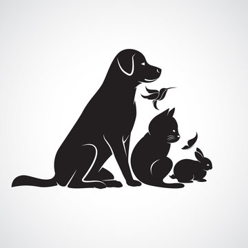 Vector group of pets - Dog, cat, bird,butterfly, rabbit, isolate