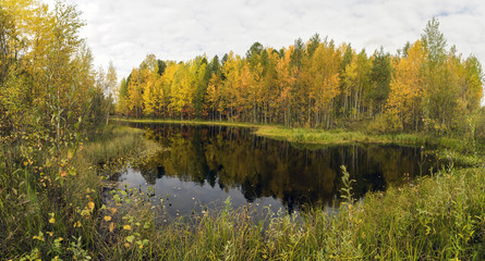 Panorama on the river in autumn