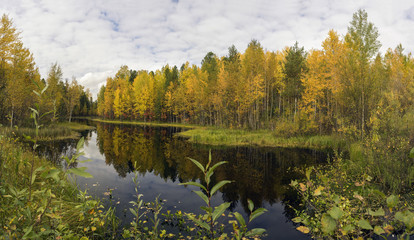Autumn landscape