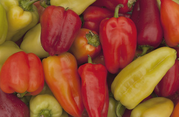 Color bell peppers.