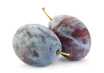 Plum fruit closeup
