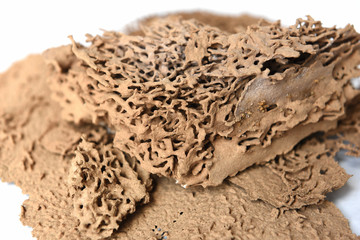 close up surface termite nest on white ground