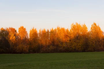 Crédence de cuisine en verre imprimé Automne Paysage naturel aux couleurs d& 39 automne