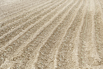 Land plowed for planting