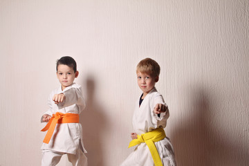 Kids during karate training. Martial arts.Sport, active lifestyle concept © dream@do
