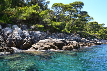 Obraz premium Croatia – Lokrum island