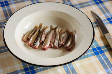 Cleaning and gutting little river fish