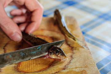 Cleaning and gutting little river fish
