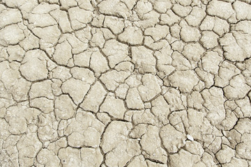 Dry land ecological disaster