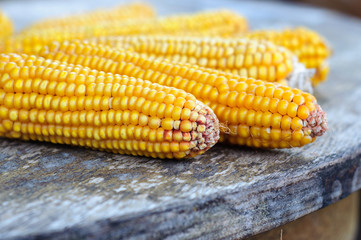 Corn on the old rustic table