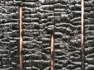verkohltes Holz