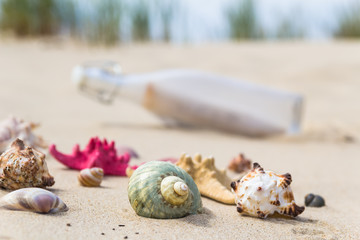 Colorful sea shells bottle background