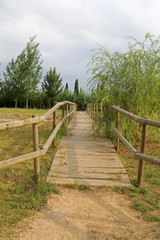 Fototapeta premium bridge in the Salt Devesa, Costa Brava