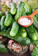 Salted ,pickled cucumbers. Harvesting garlic,salt,herbs and pepper.selective focus