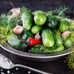Salted ,pickled cucumbers. Harvesting garlic,salt,herbs and peppers on a black background.selective focus