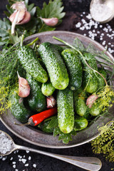 Salted ,pickled cucumbers. Harvesting garlic,salt,herbs and peppers on a black background.selective focus