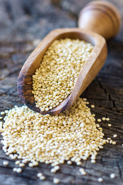 Healthy quinoa seeds