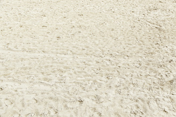 Fototapeta premium Fund beach sand
