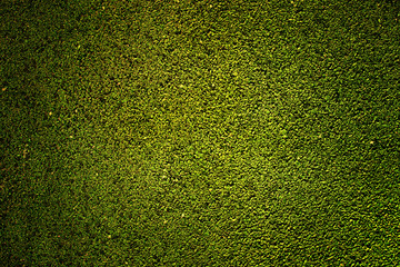 Obraz premium Green rubber texture - made of little pieces of rubber and grains of sand.
