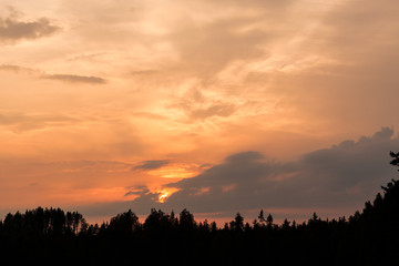 Fiery sunset and silhouette forest