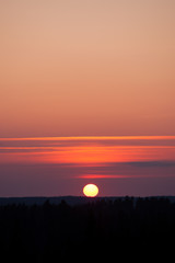Obraz premium Sun setting over forest