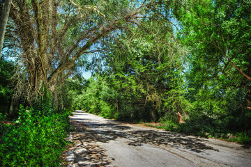 road in the countryside in hdr