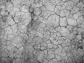 Dry cracked earth texture, vector background