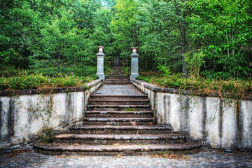 old stairs in the forest