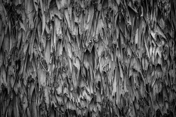 Straw pattern Thatch background.