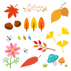 Autumn nature elements © soyon