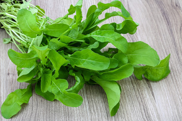 Ruccola