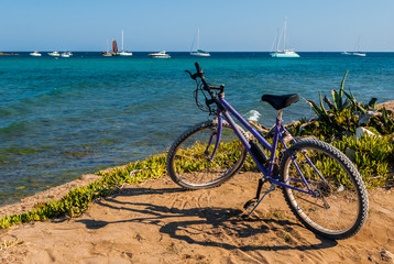 Fototapeta premium Purple bicycle near the coastline with sea and boats in the background
