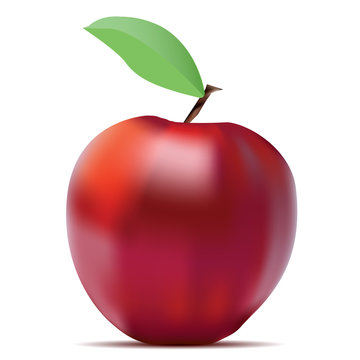 Red Apple with stem and green leaf with shadow. Vector realistic illustration, isolated on white background