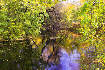 Lake, autumn, Kaliningrad