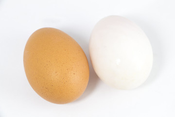 Organic Duck eggs vs Chicken eggs and preserved egg