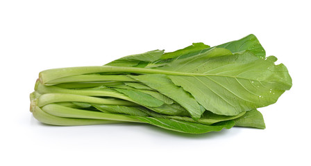 Chinese mustard green on white background (Nontoxic)