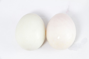 Organic Duck eggs vs Chicken eggs and preserved egg