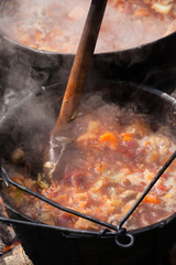 Soup cooking in medieval pot