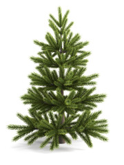 Christmas tree on a white background.