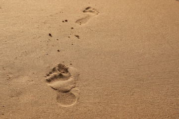 Feet on the beach © summit fever