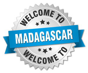 Obraz premium Madagascar 3d silver badge with blue ribbon