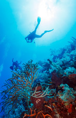 Young Man Scuba Diver